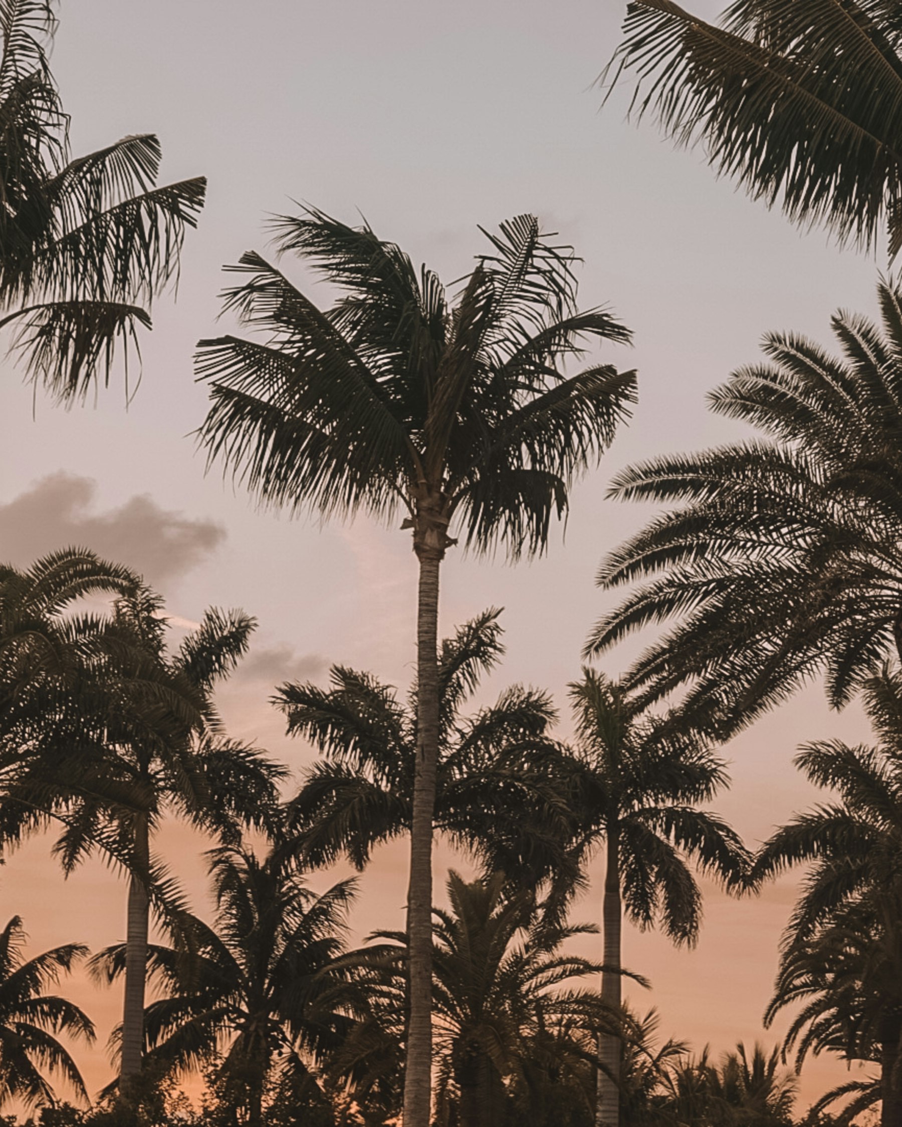 Property Taxes: Florida vs. the Northeast